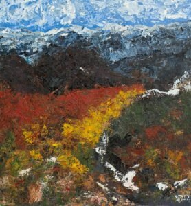 Manantial de los nevados